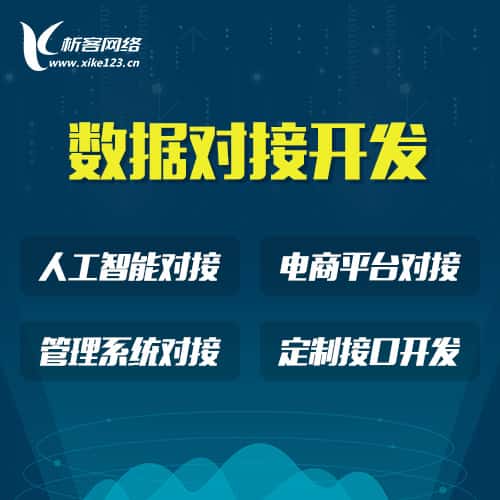 长沙智能数据对接