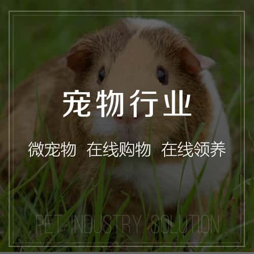 长沙宠物