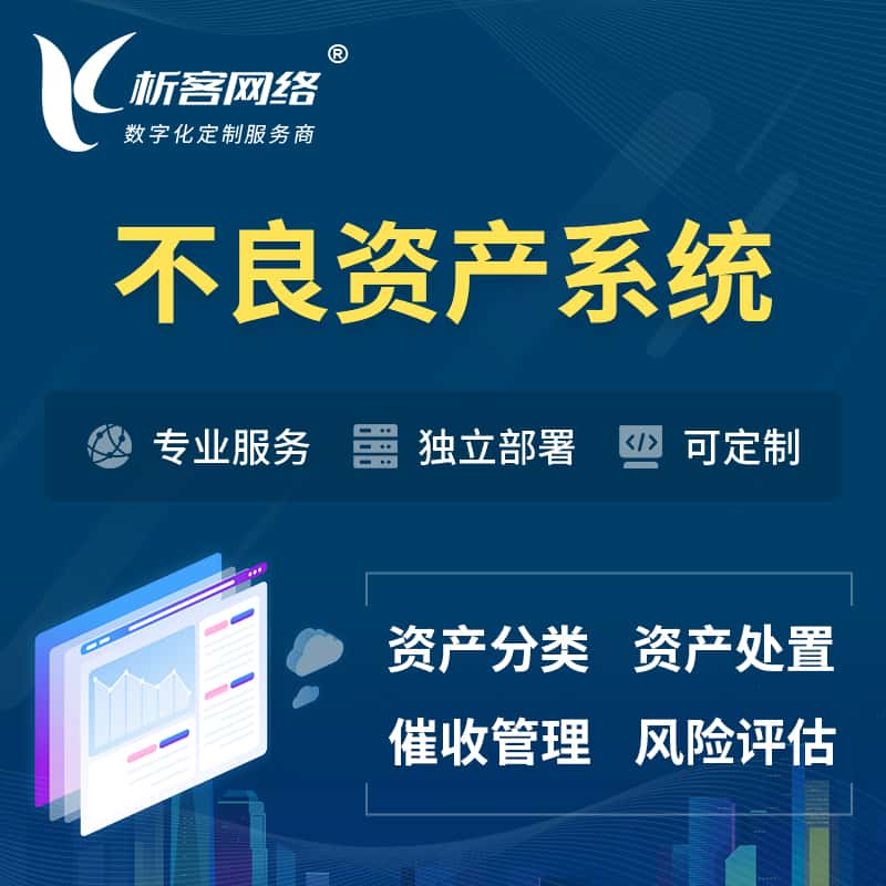 长沙不良资产管理系统