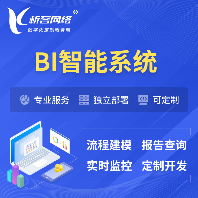 长沙BI智能系统 | BI数据可视化